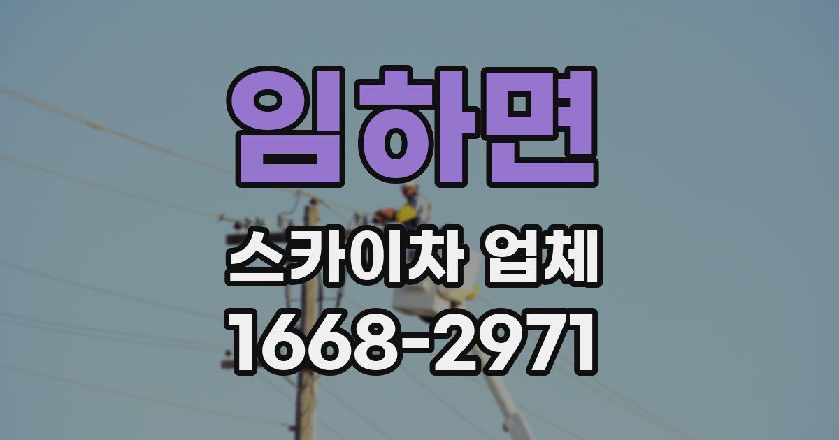 임하면 스카이차 업체