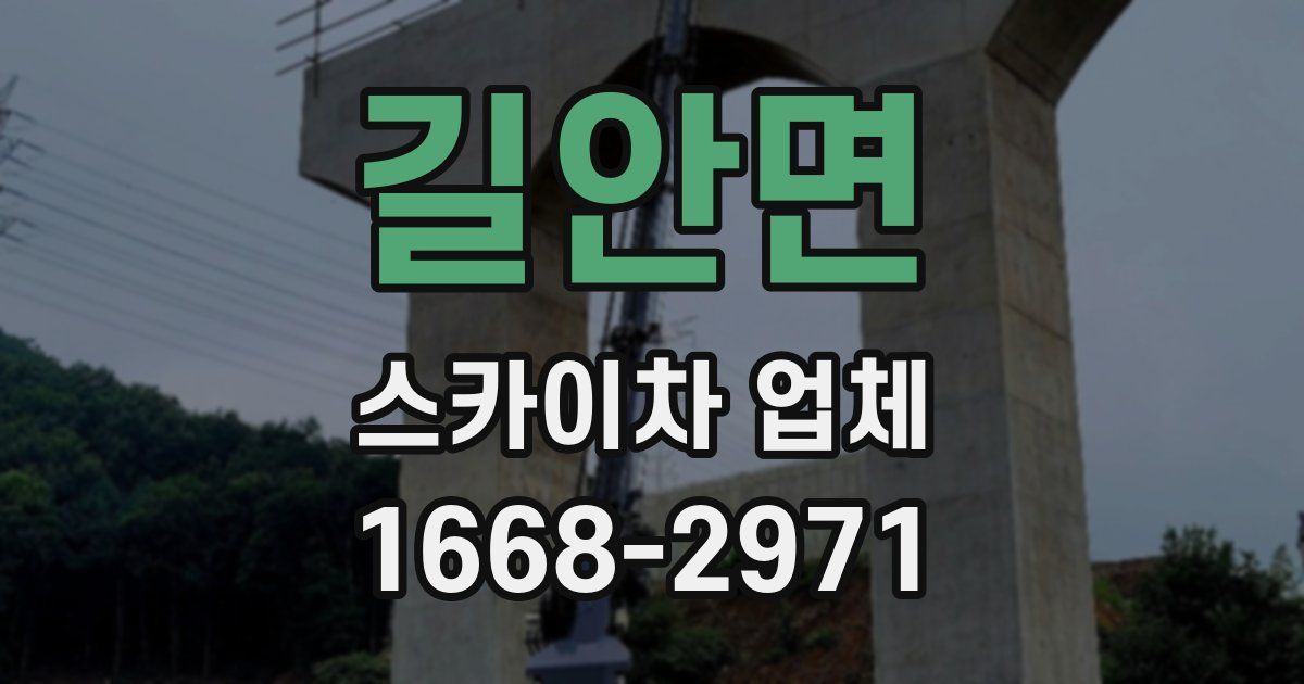 길안면 스카이차 업체