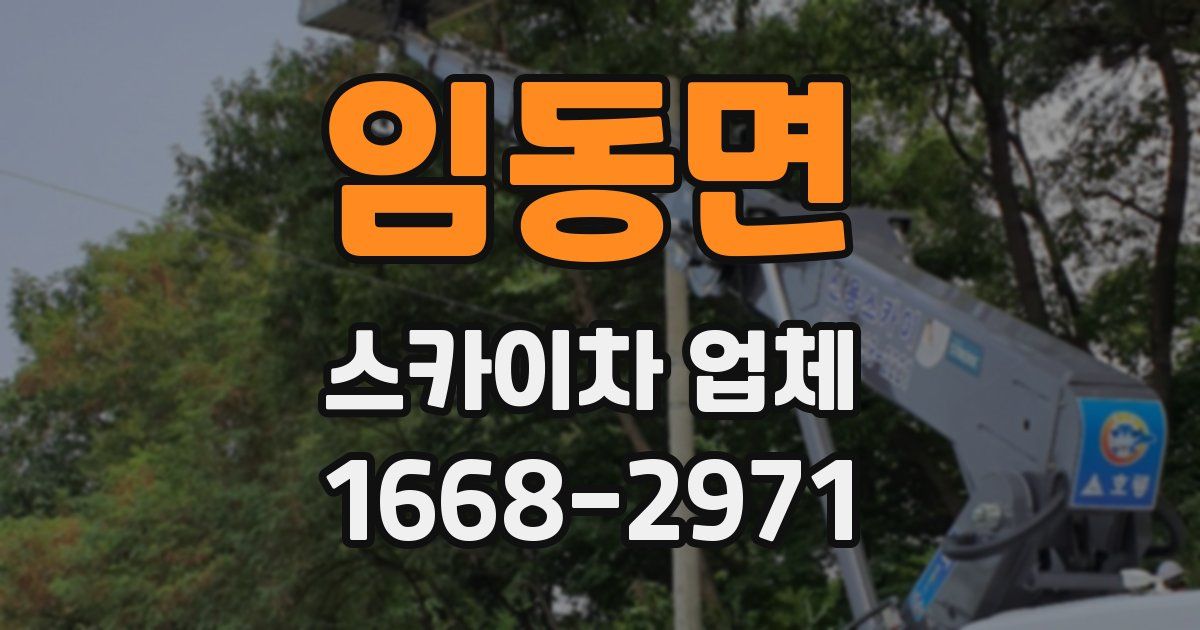 임동면 스카이차 업체