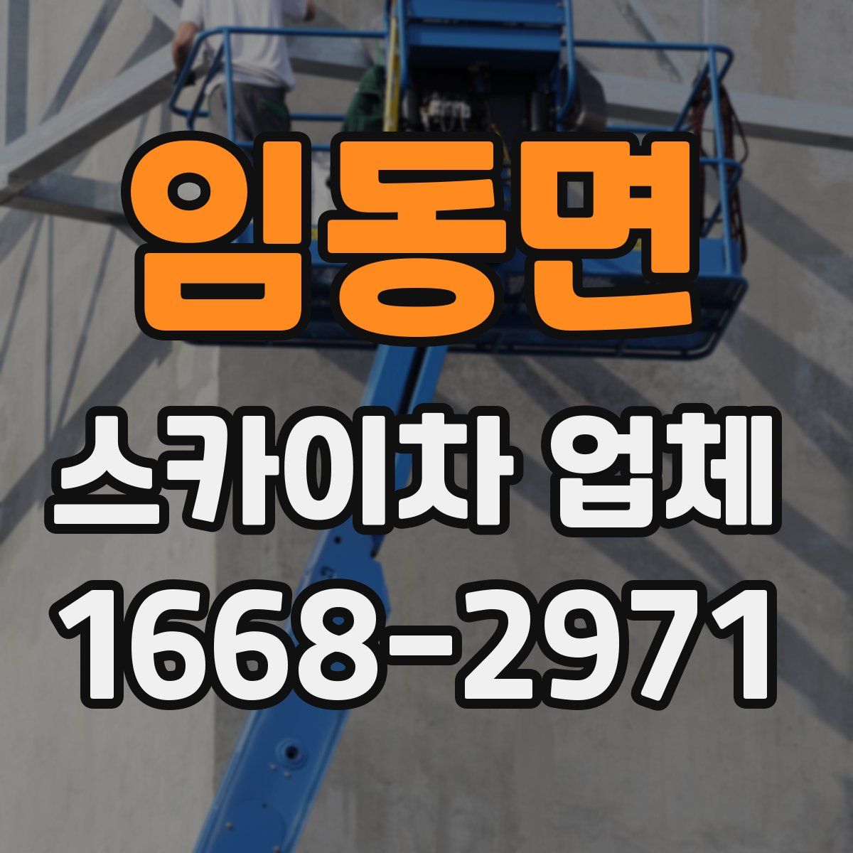 임동면 스카이차 업체