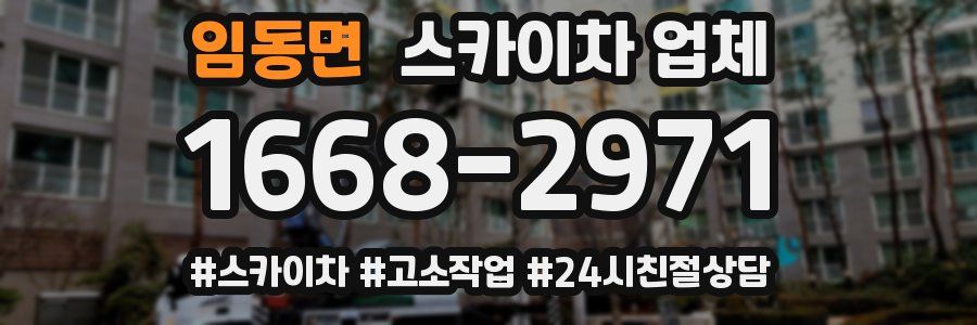 임동면 스카이차 업체