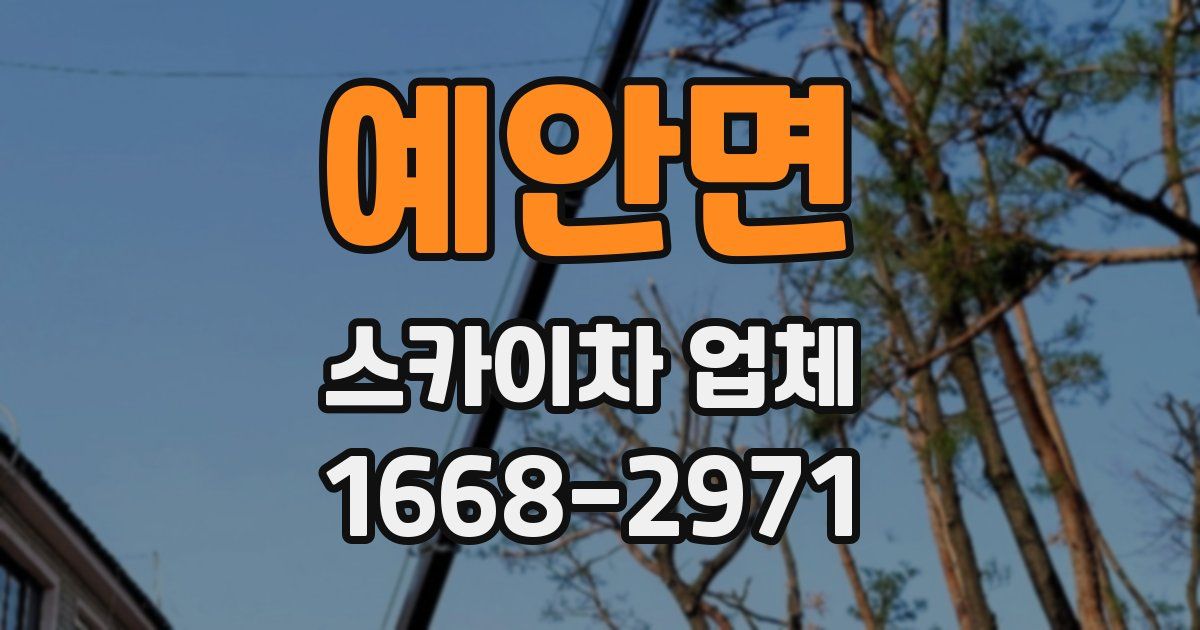 예안면 스카이차 업체