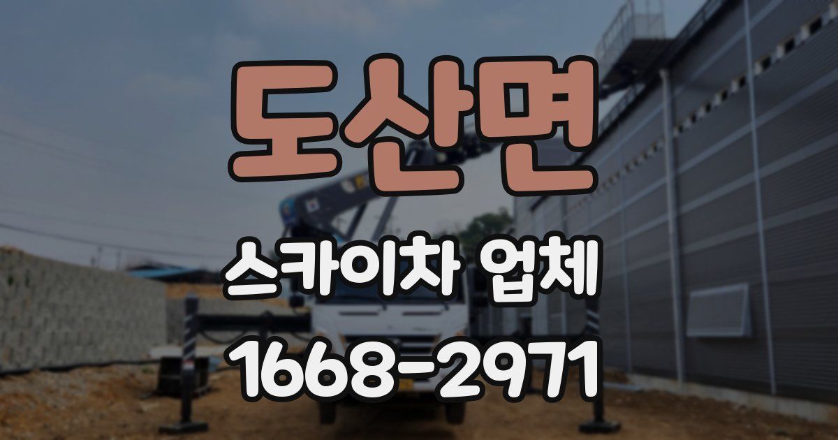 도산면 스카이차 업체