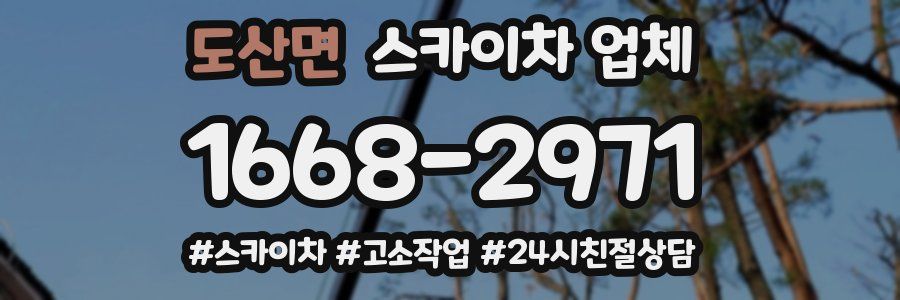 도산면 스카이차 업체