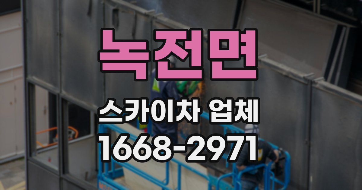 녹전면 스카이차 업체