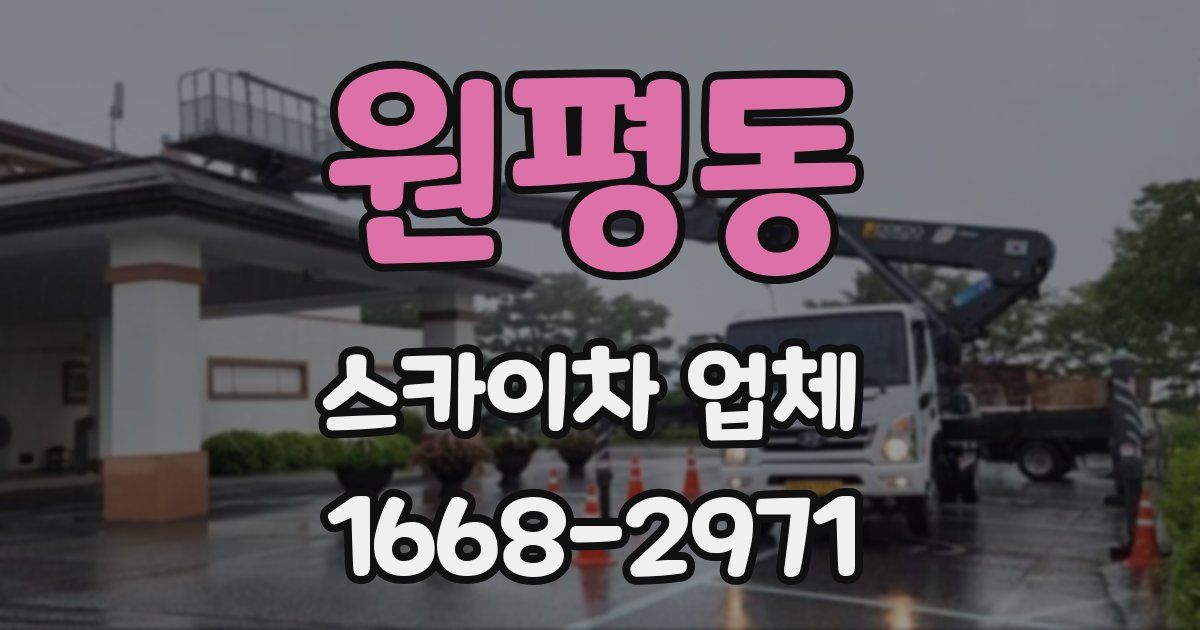 원평동 스카이차 업체