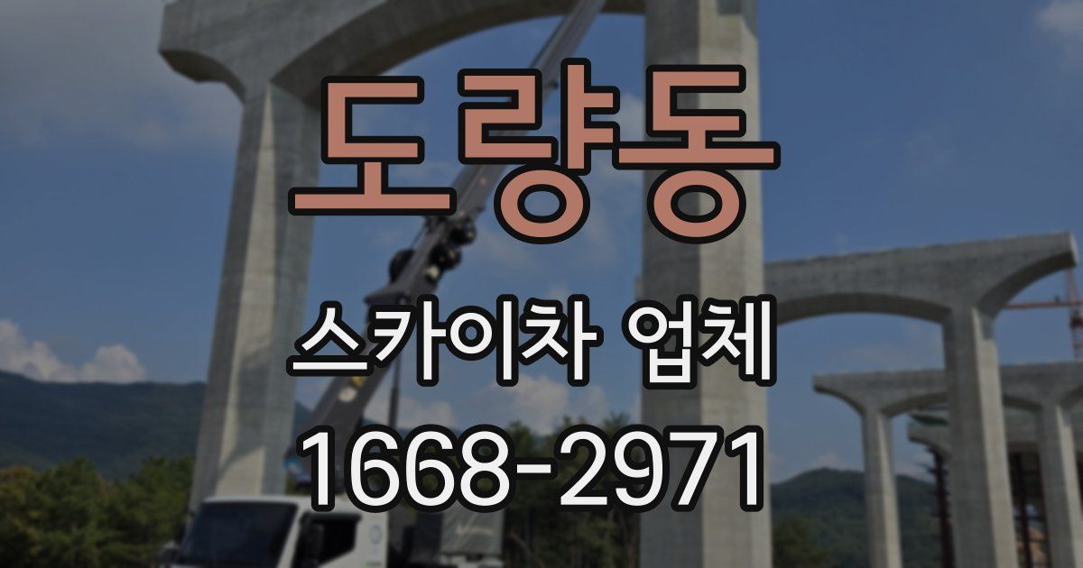 도량동 스카이차 업체