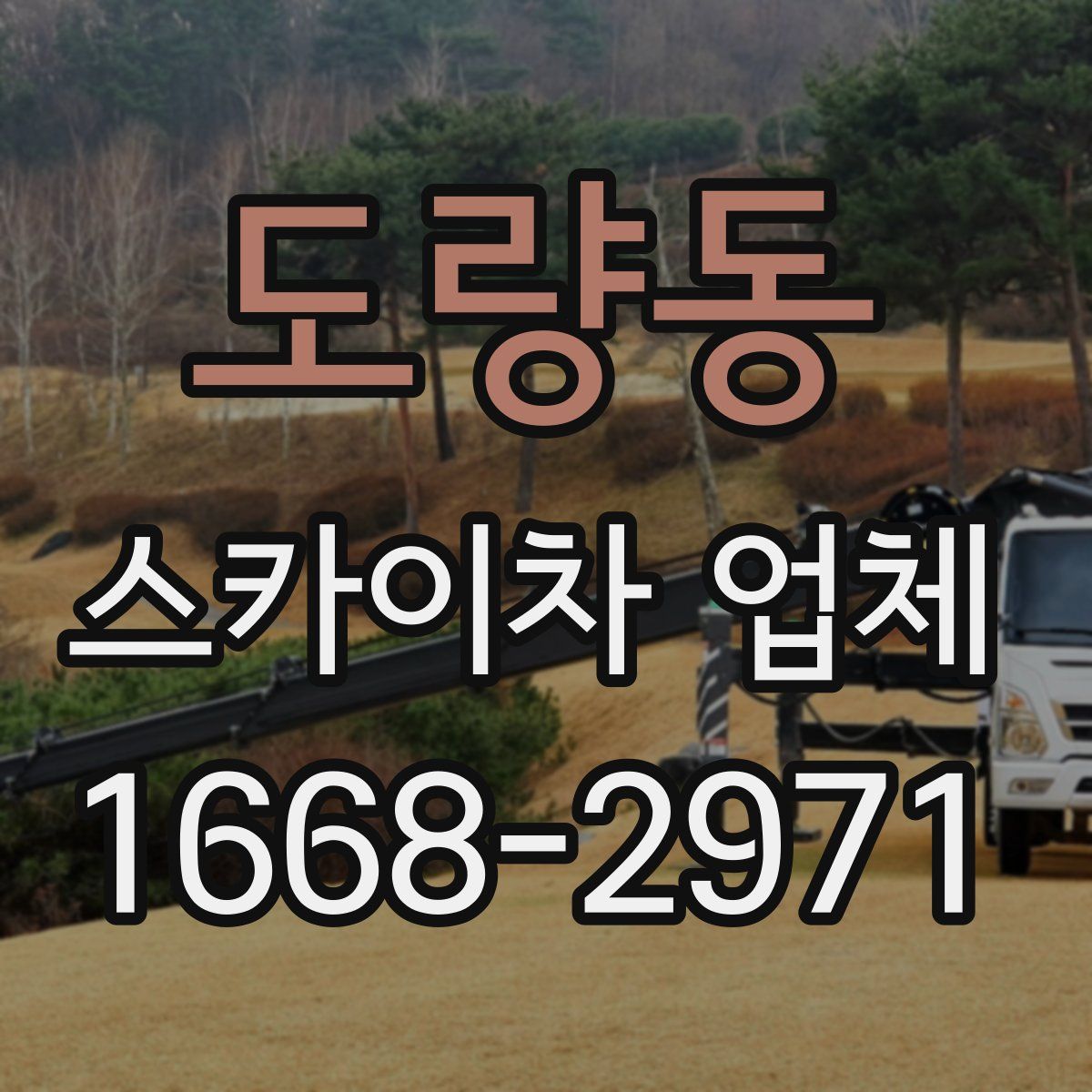 도량동 스카이차 업체