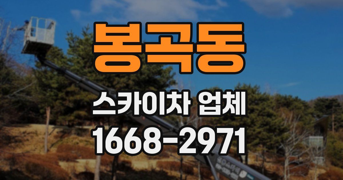 봉곡동 스카이차 업체