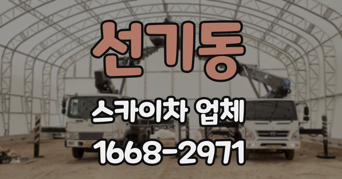 선기동 스카이차 업체