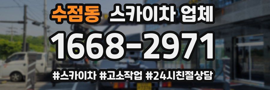 수점동 스카이차 업체