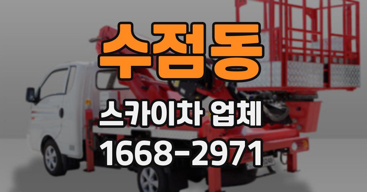 수점동 스카이차 업체