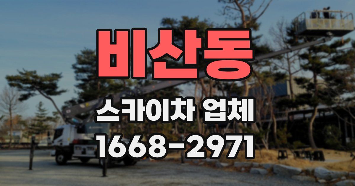 비산동 스카이차 업체