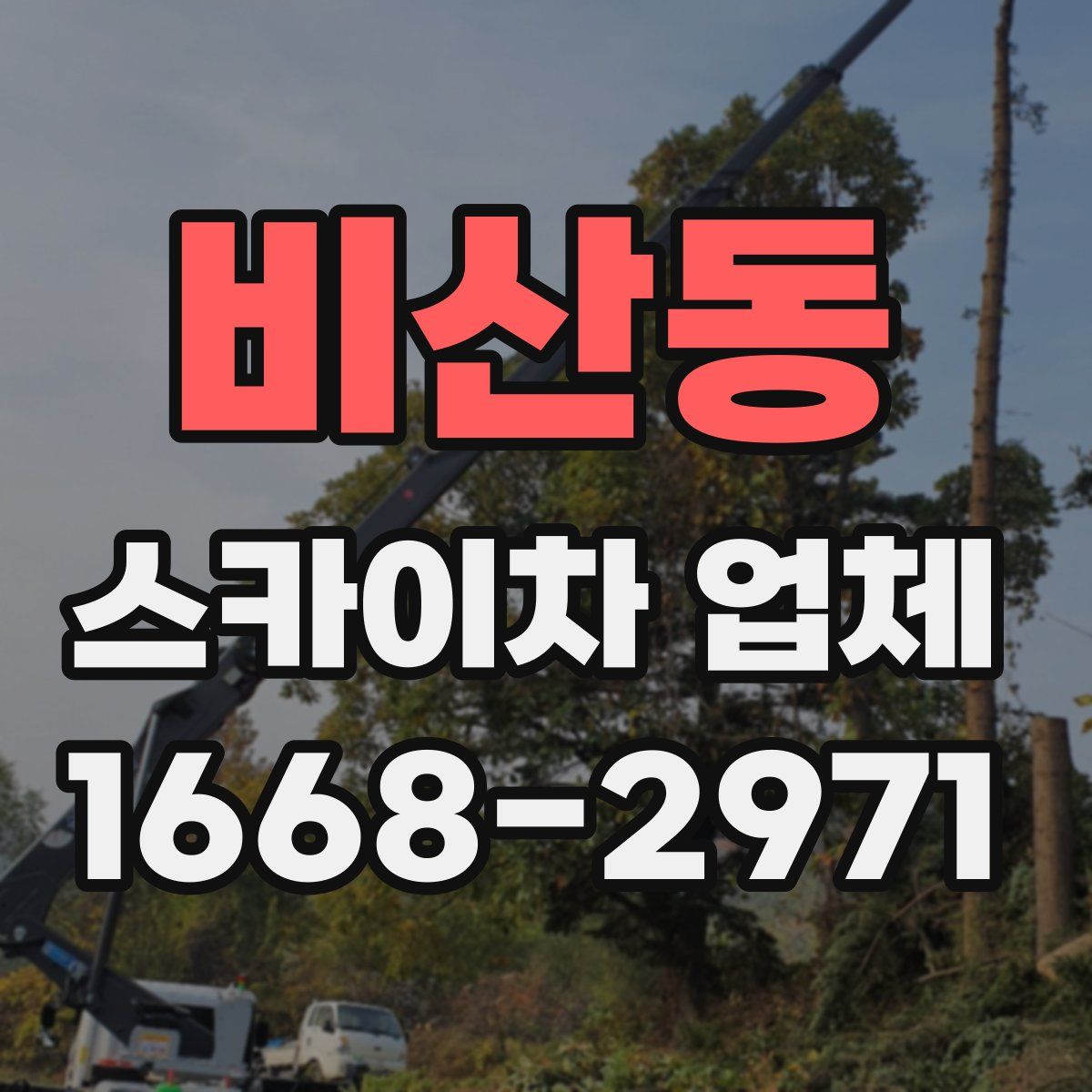 비산동 스카이차 업체