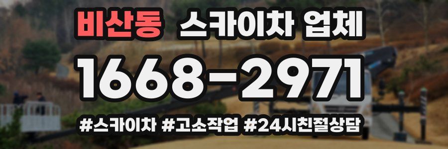 비산동 스카이차 업체