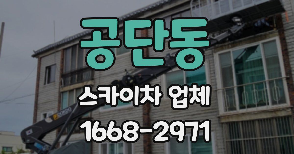 공단동 스카이차 업체