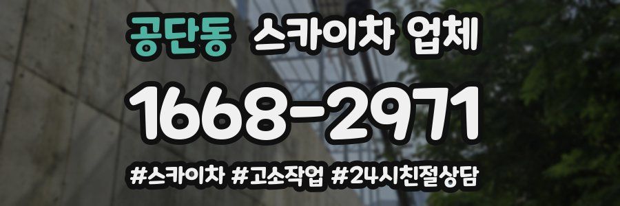 공단동 스카이차 업체