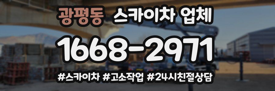 광평동 스카이차 업체