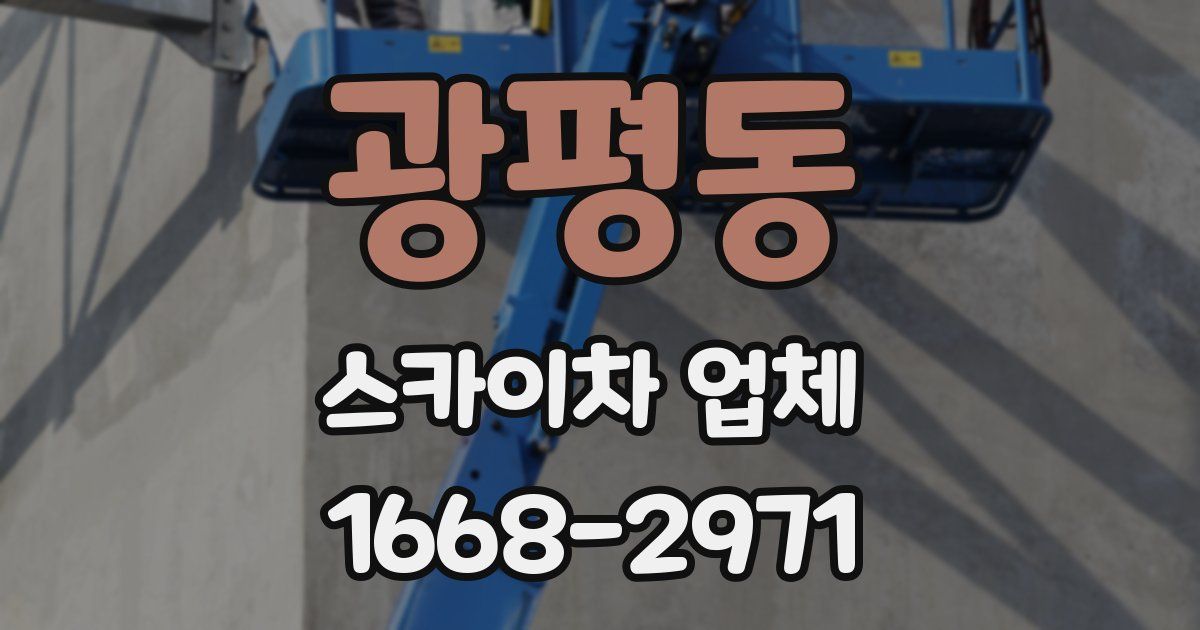 광평동 스카이차 업체