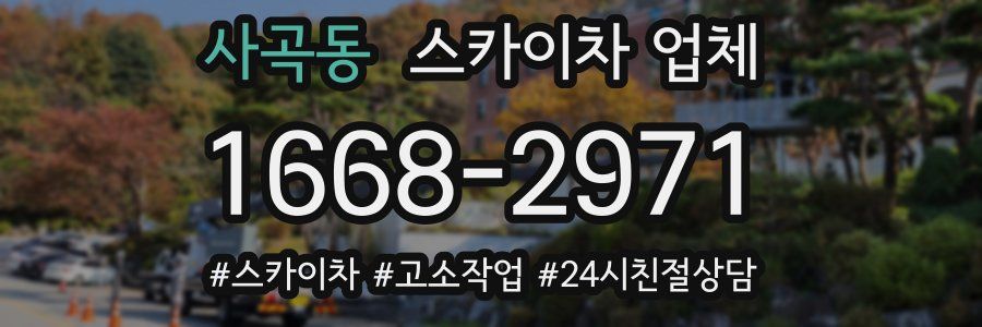 사곡동 스카이차 업체