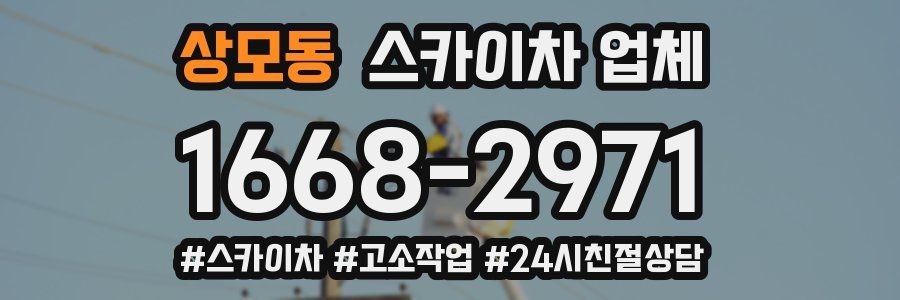 상모동 스카이차 업체