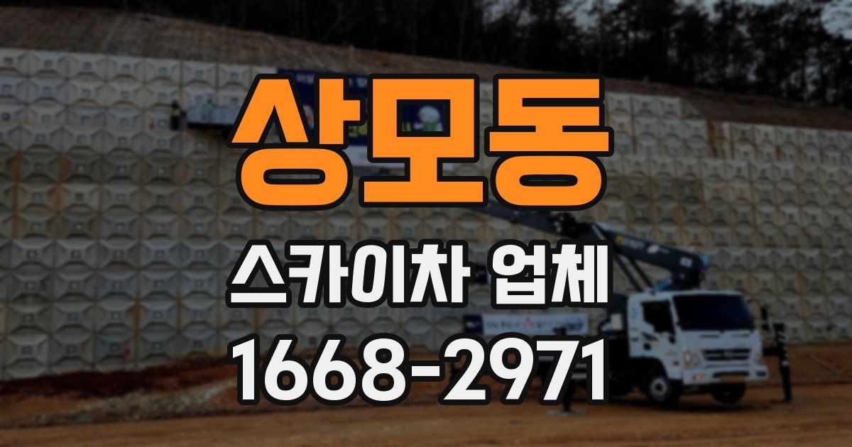 상모동 스카이차 업체
