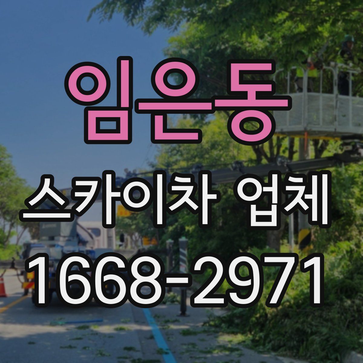 임은동 스카이차 업체