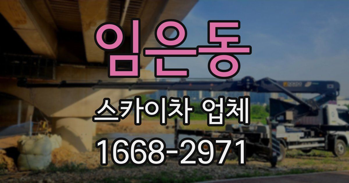 임은동 스카이차 업체