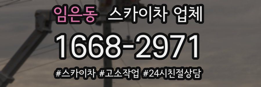임은동 스카이차 업체