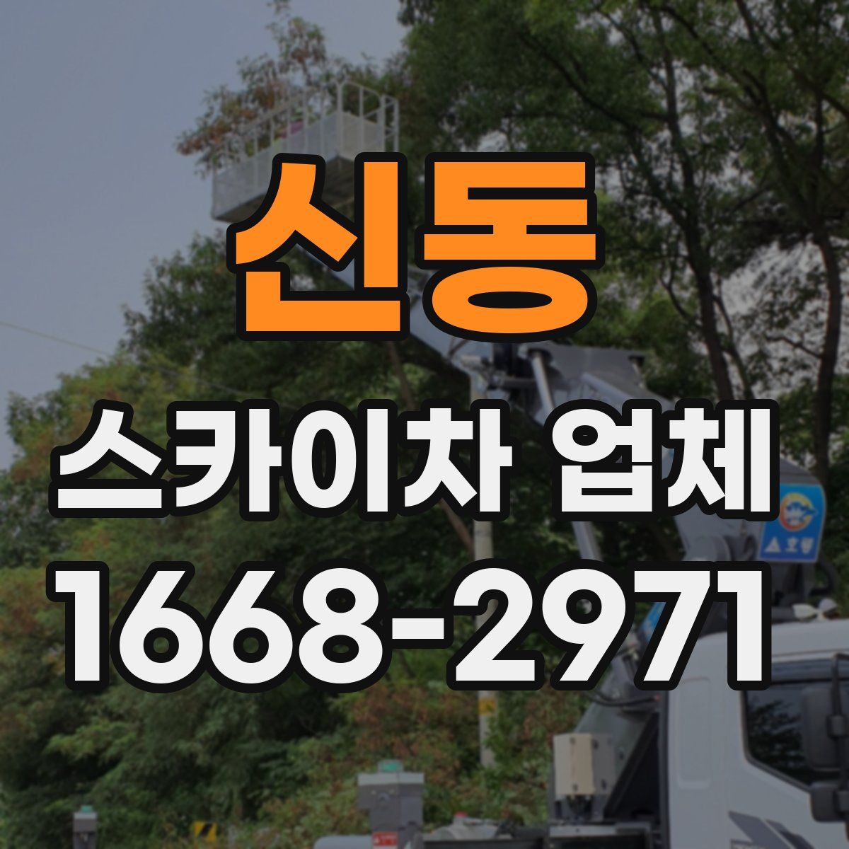 신동 스카이차 업체