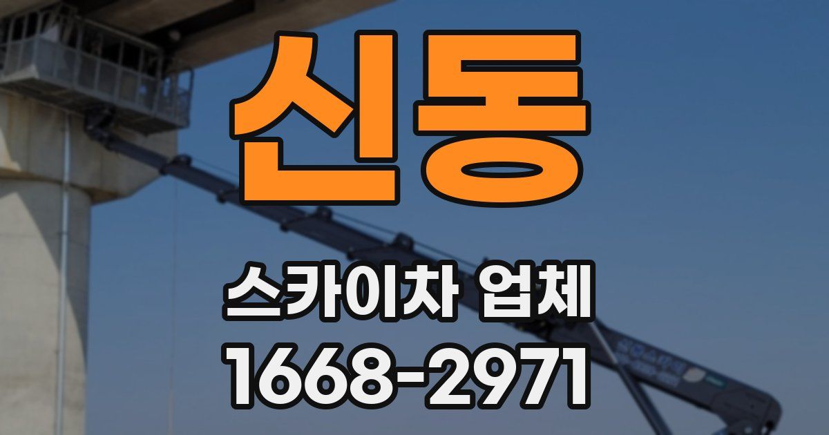 신동 스카이차 업체