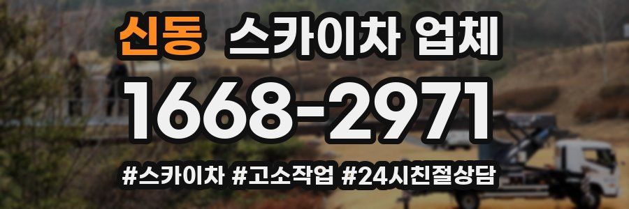 신동 스카이차 업체