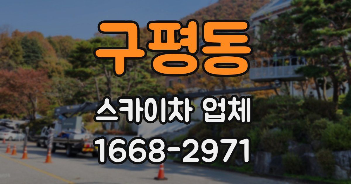 구평동 스카이차 업체