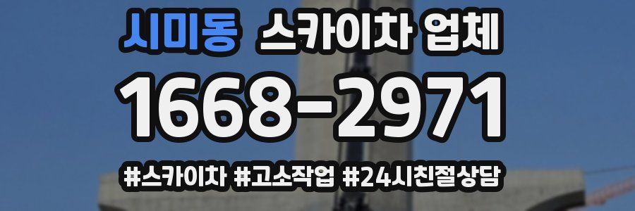 시미동 스카이차 업체