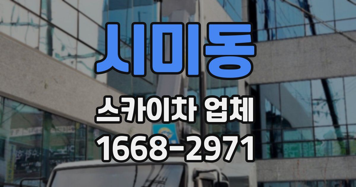 시미동 스카이차 업체