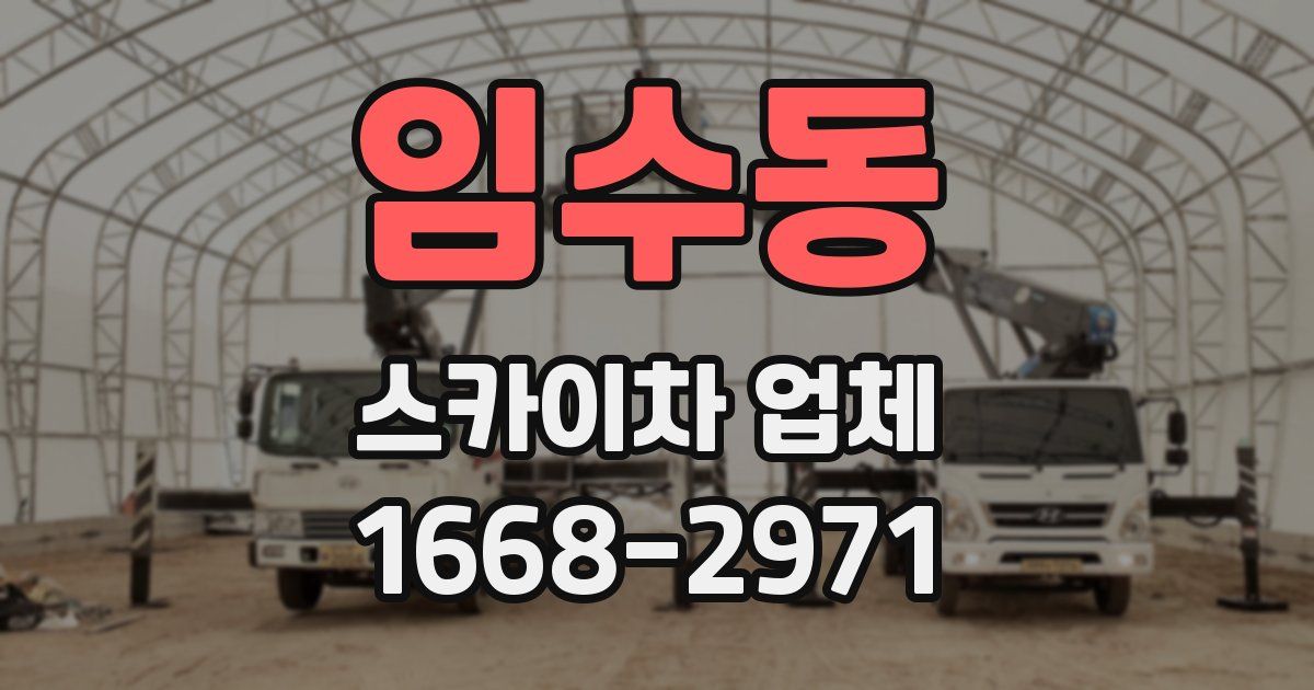 임수동 스카이차 업체