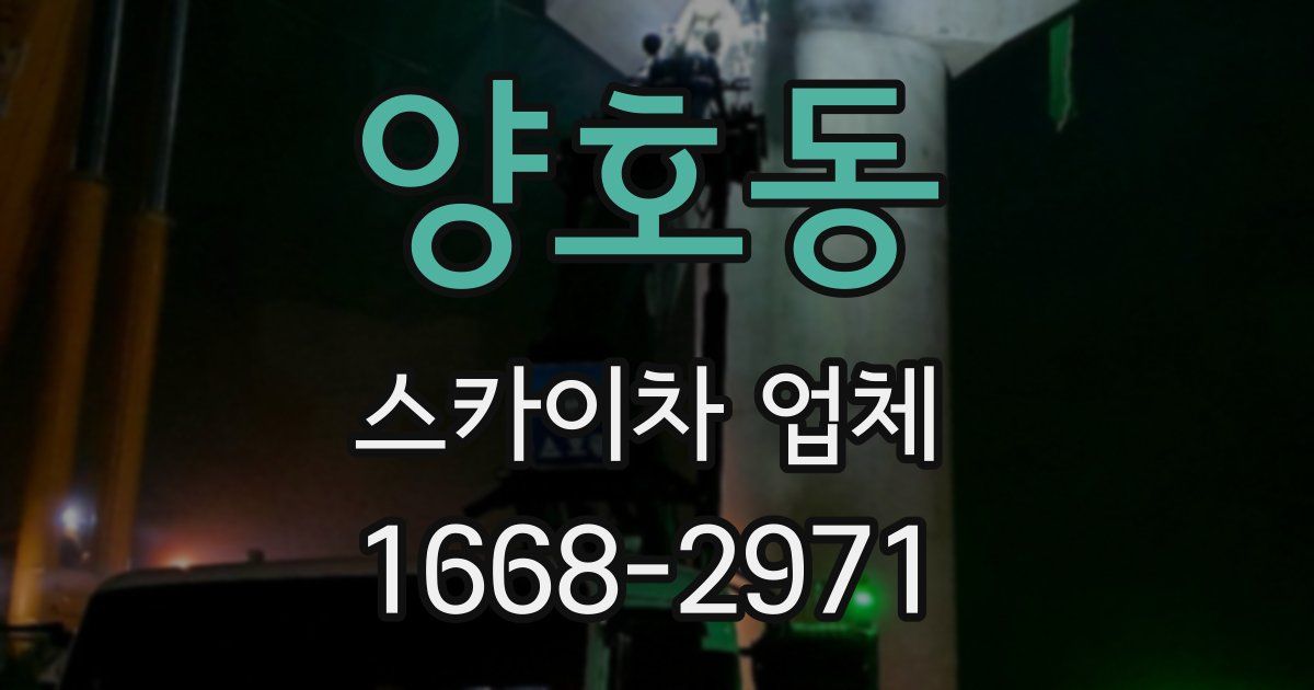 양호동 스카이차 업체
