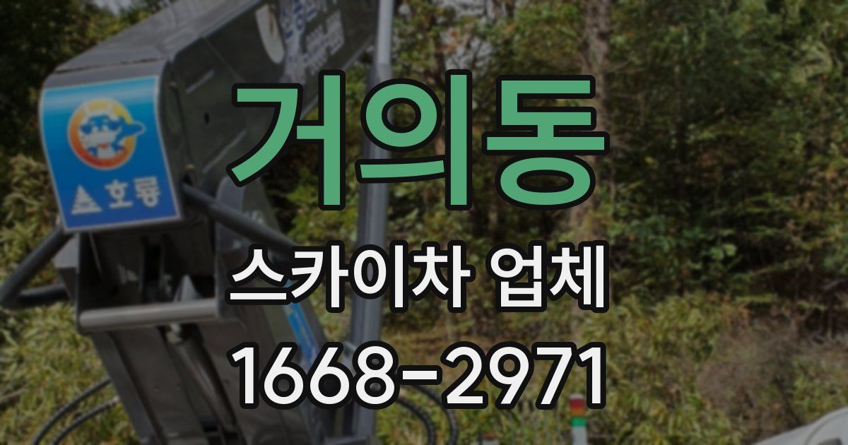 거의동 스카이차 업체
