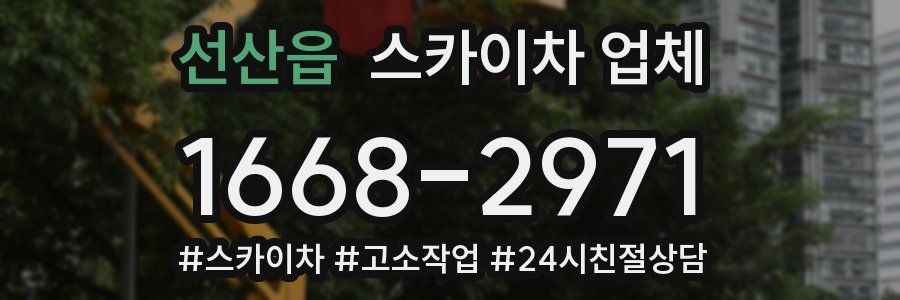 선산읍 스카이차 업체