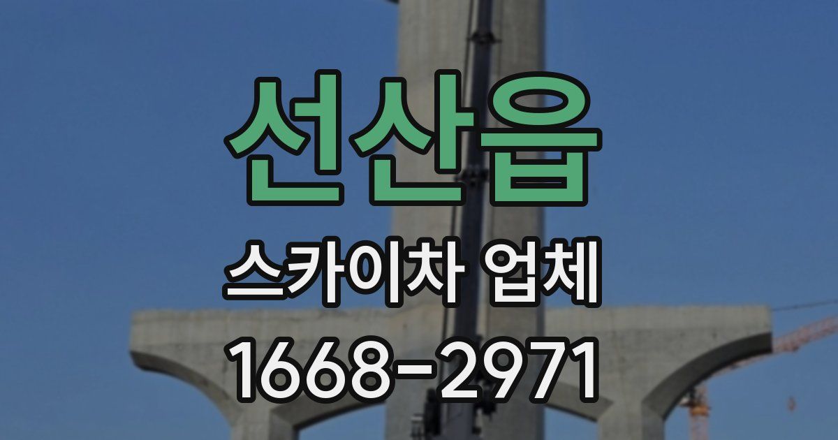 선산읍 스카이차 업체