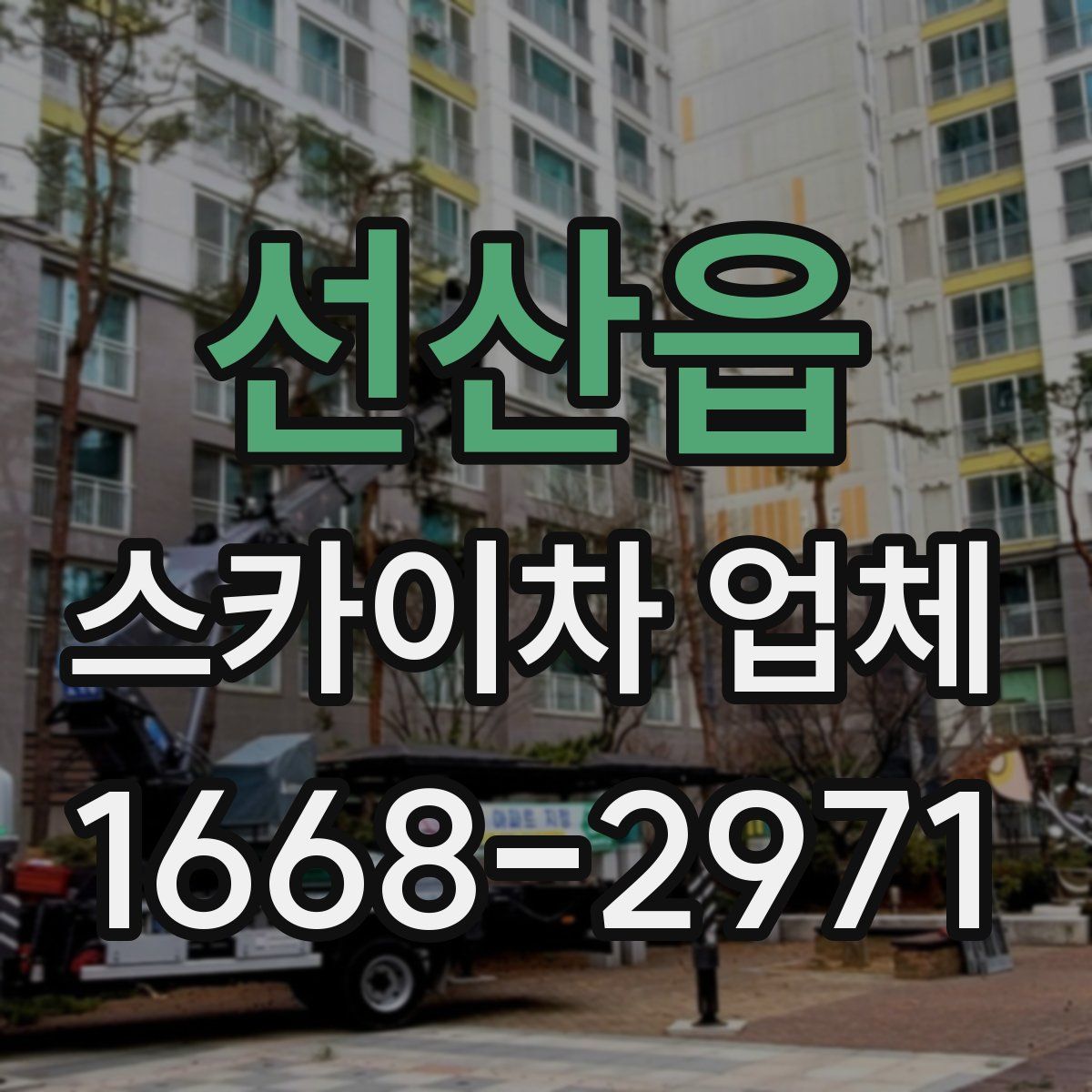 선산읍 스카이차 업체