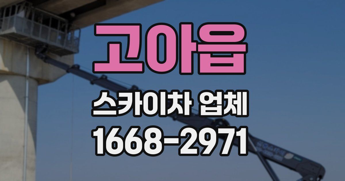 고아읍 스카이차 업체