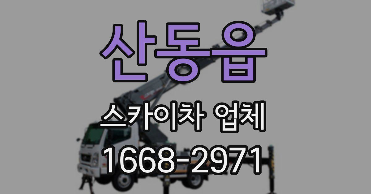 산동읍 스카이차 업체
