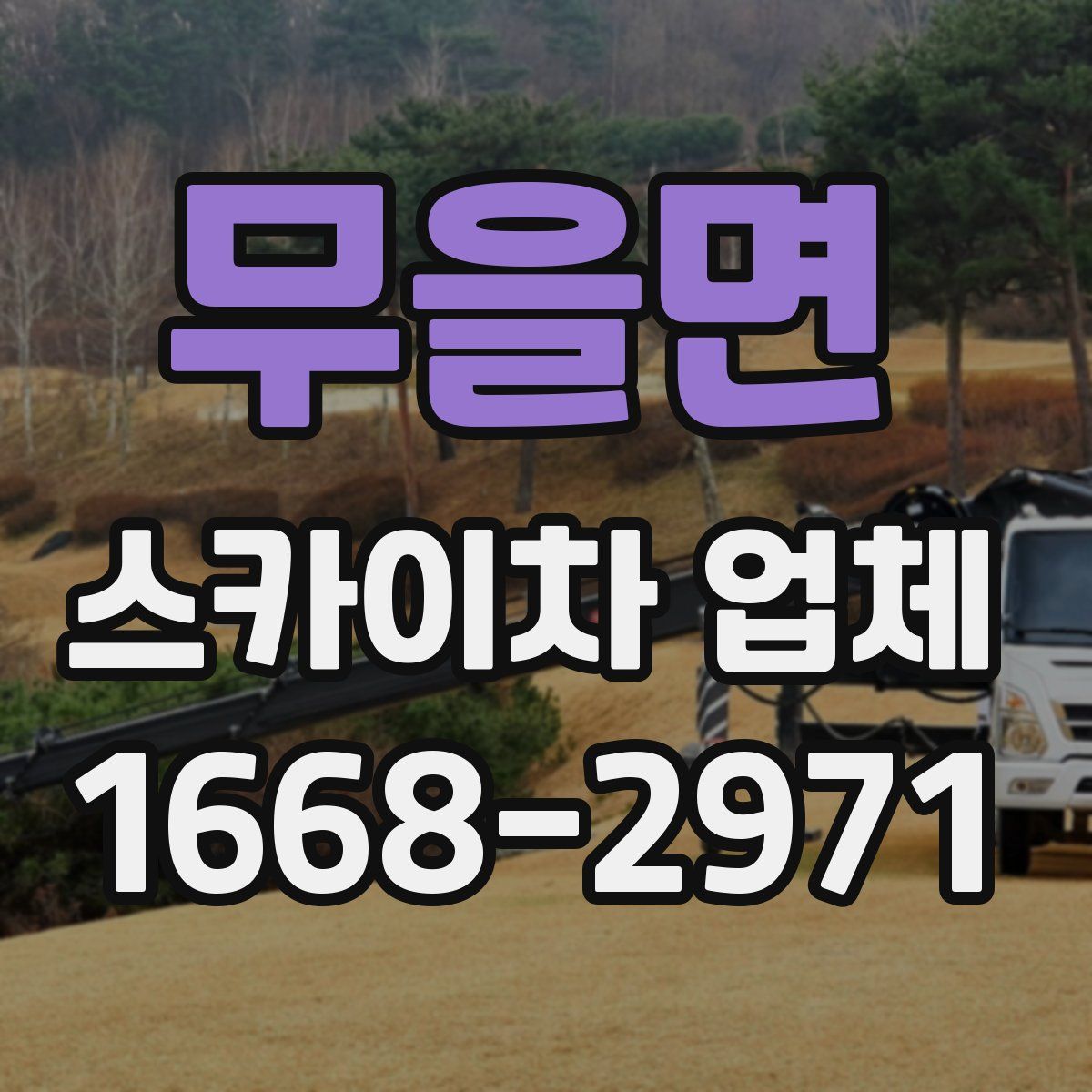 무을면 스카이차 업체