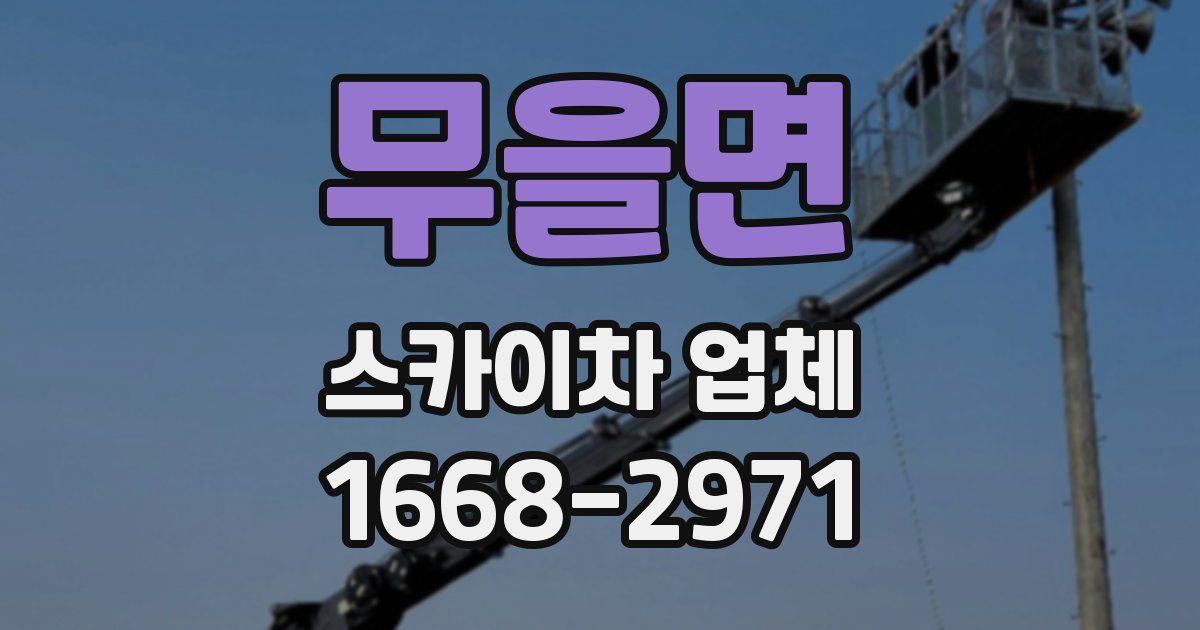 무을면 스카이차 업체
