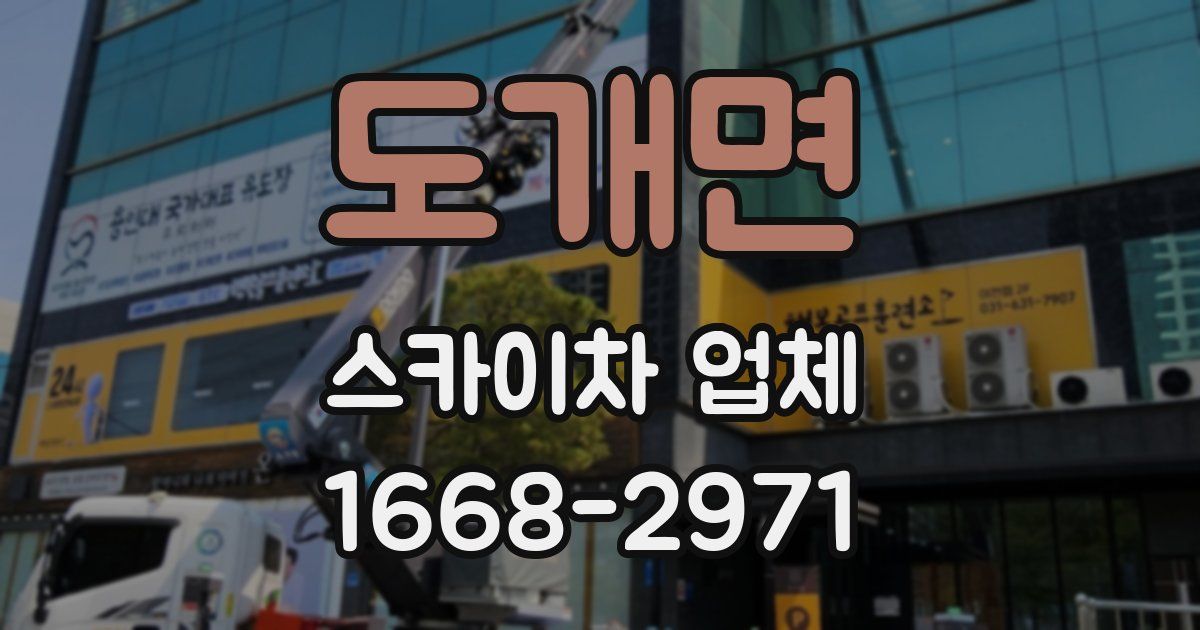 도개면 스카이차 업체