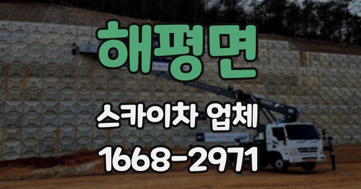 해평면 스카이차 업체
