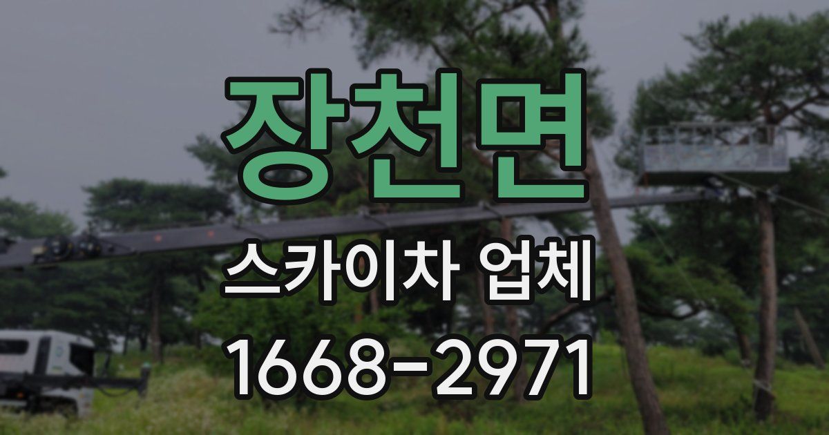 장천면 스카이차 업체