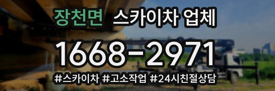 장천면 스카이차 업체