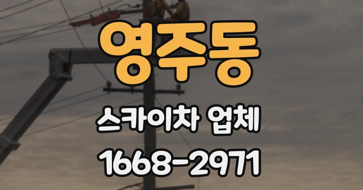 영주동 스카이차 업체